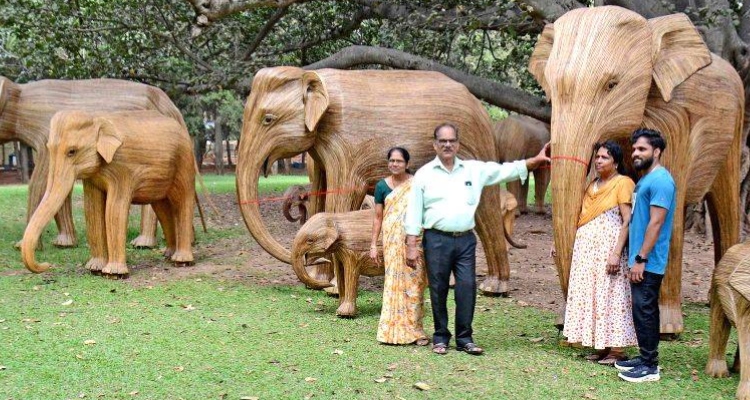 https://newsfirstprime.com/wp-content/uploads/2024/02/Elephants-at-Lal-Bagh.jpg